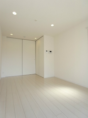 アネシスのその他
