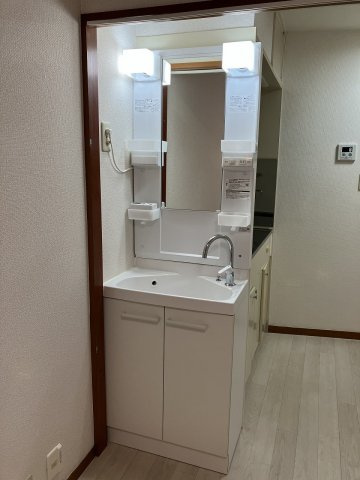 グリーンヴィラの洗面所
