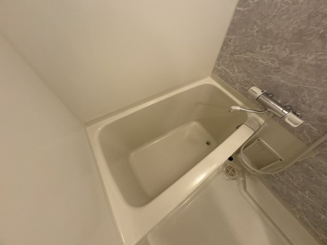S-RESIDENCE江坂の浴室