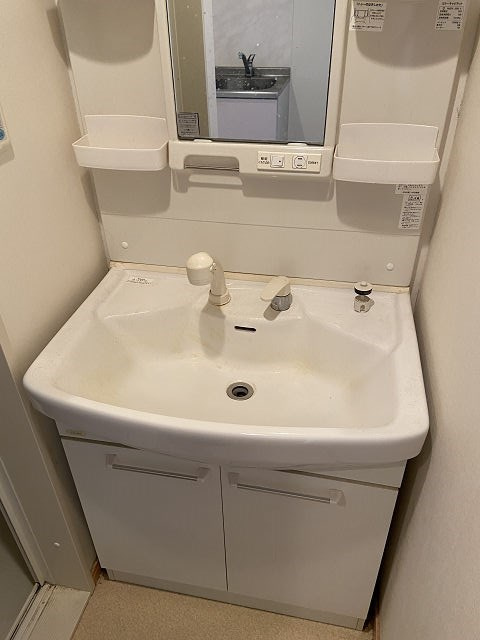 ヴェルドミール園田の洗面所