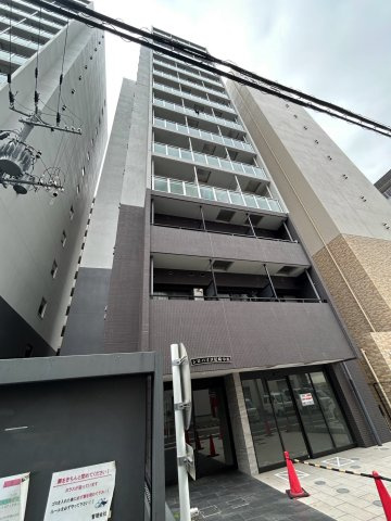 シロハイヌ尼崎中央