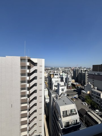 シロハイヌ尼崎中央の展望