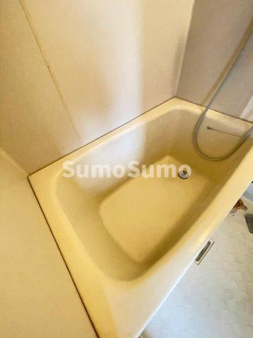 テングッド城西の浴室