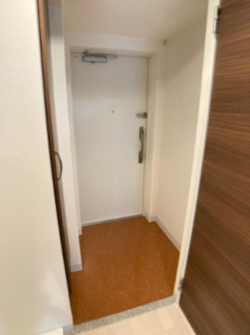Luxe難波南の玄関