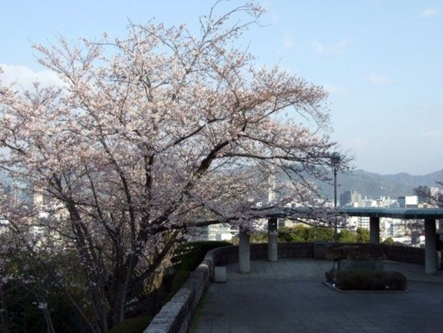 ラパークのその他|比治山公園