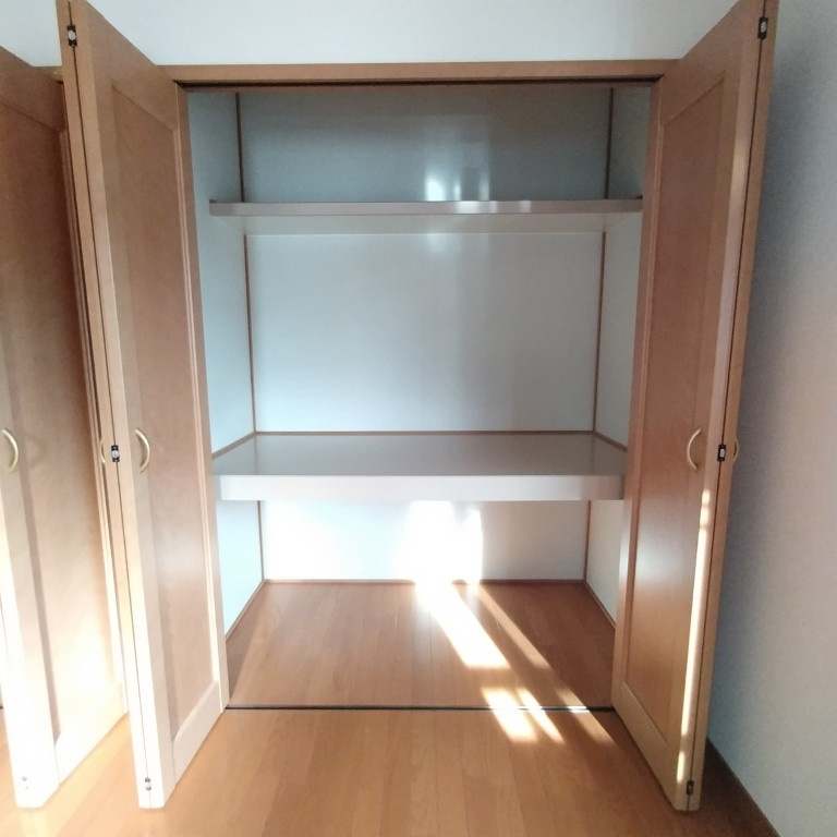 ６７３８１　岐阜市須賀３丁目中古戸建ての収納