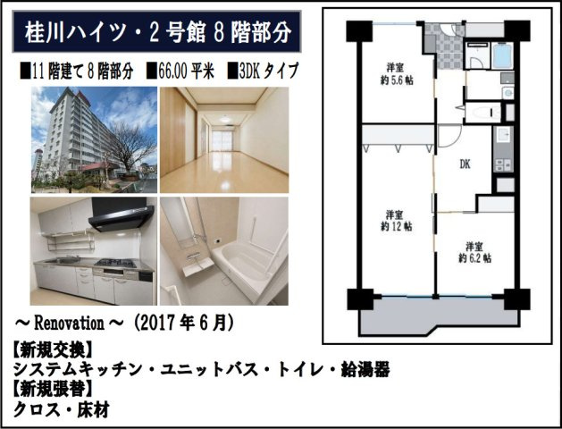 桂川ハイツ２号館の間取り