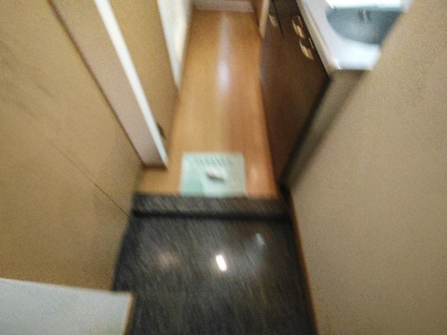 ルーブル中野沼袋弐番館の玄関|玄関です