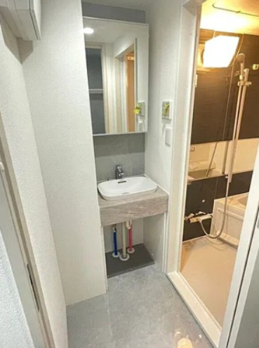 Crostone西巣鴨の洗面所