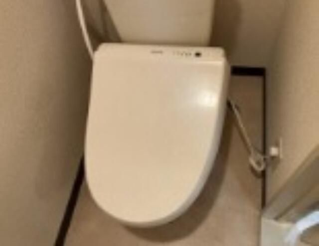 グランデールのトイレ