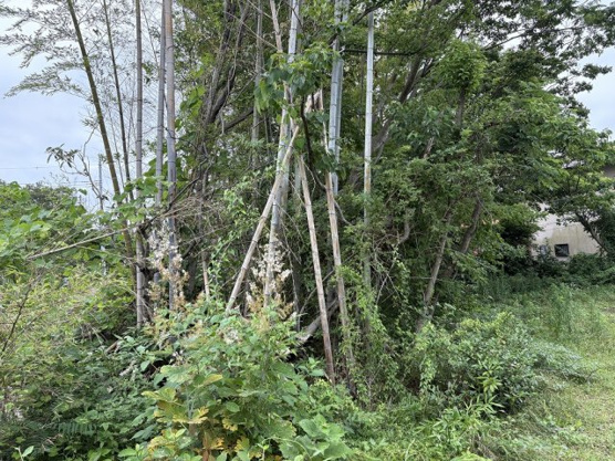【外観】 | 伊東市八幡野　売地
