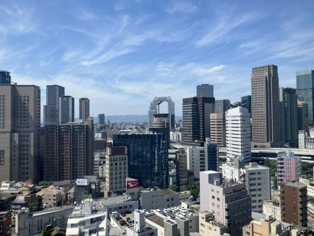 ザ・タワー大阪の展望