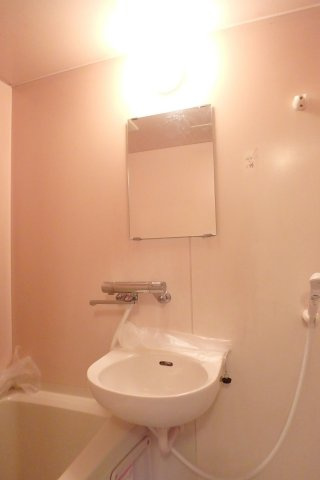 ジュネス一色の洗面所