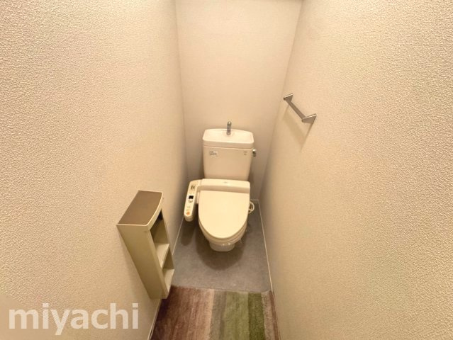 シャーメゾンラフィーネ　一番館のトイレ
