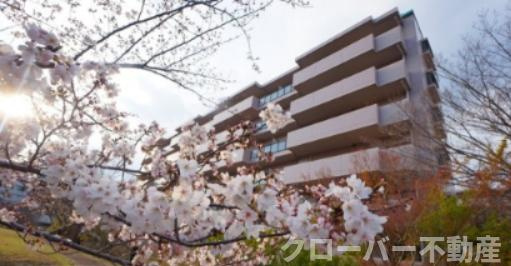 ストーンレイク子の浜Ｃ棟の外観|外観写真