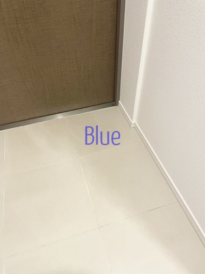【玄関】 | ビクトリアヒルズ横濱サウスＦ棟 | 同じ仕様