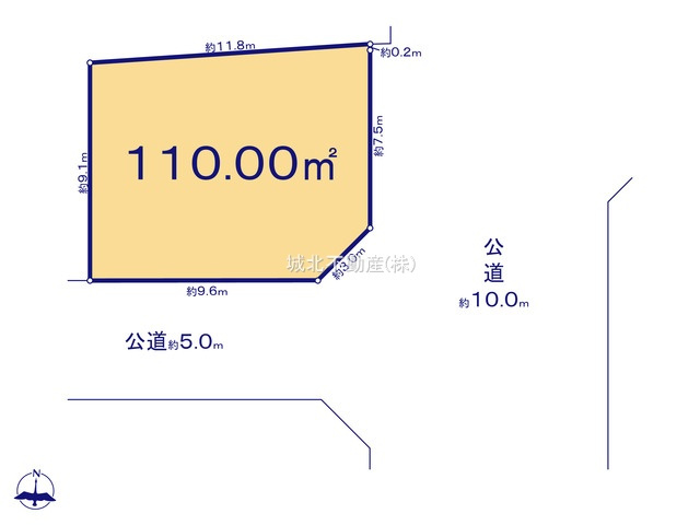 杉並区清水3丁目 全18区画1号地の土地図|東側約10.0ｍ道路公道×南側約5.0ｍ道路公道に接道する角地に面する整形地110.00㎡