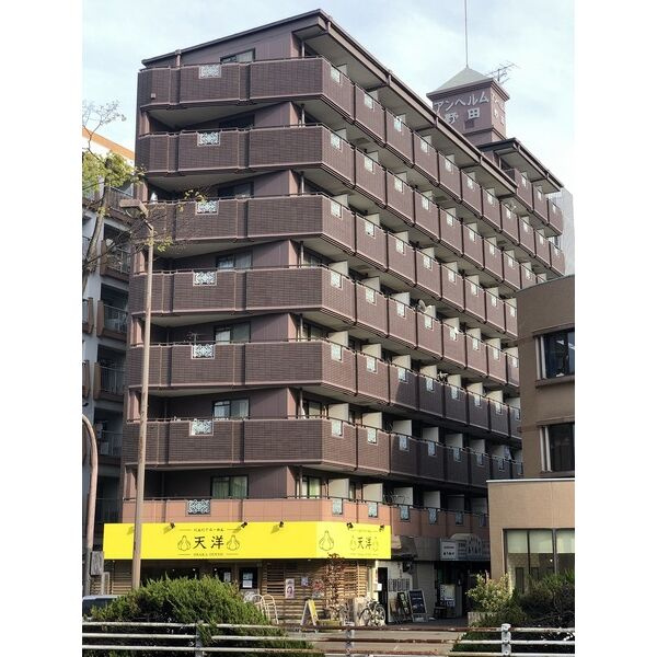 アンヘルム野田