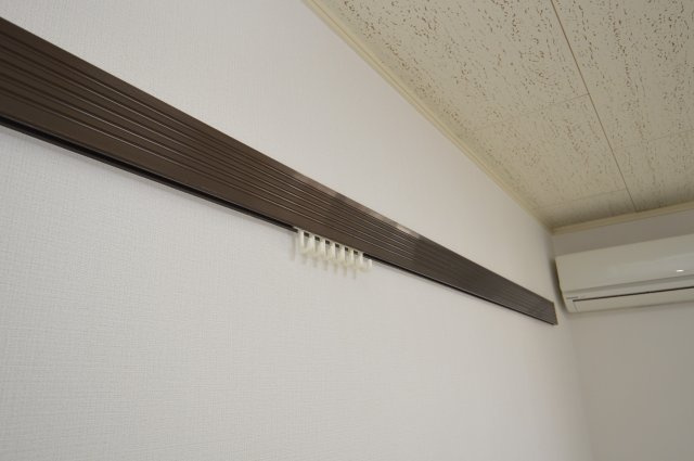 ブラウエンハウスのその他
