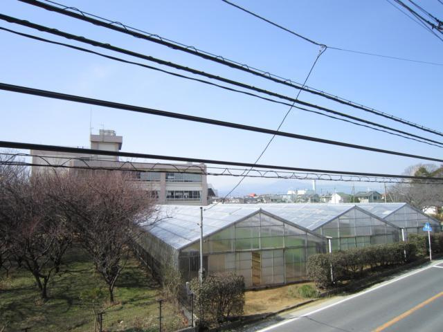 アジュール湘南の展望