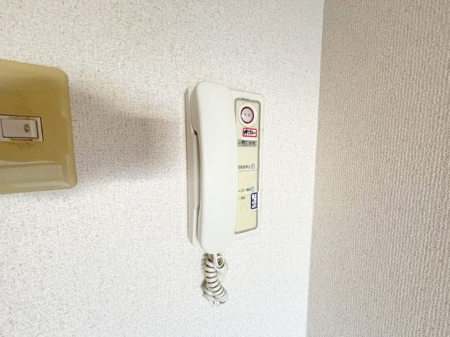 アレルヤのセキュリティ