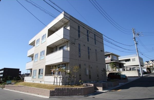 ｓｔｏｃｋの外観