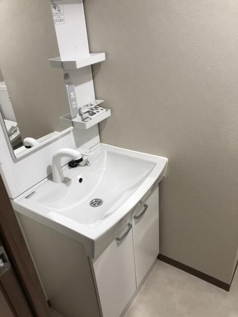エストゥルースプラス両国の洗面所