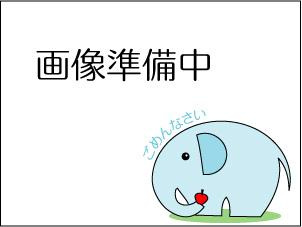 売地№302魚躬