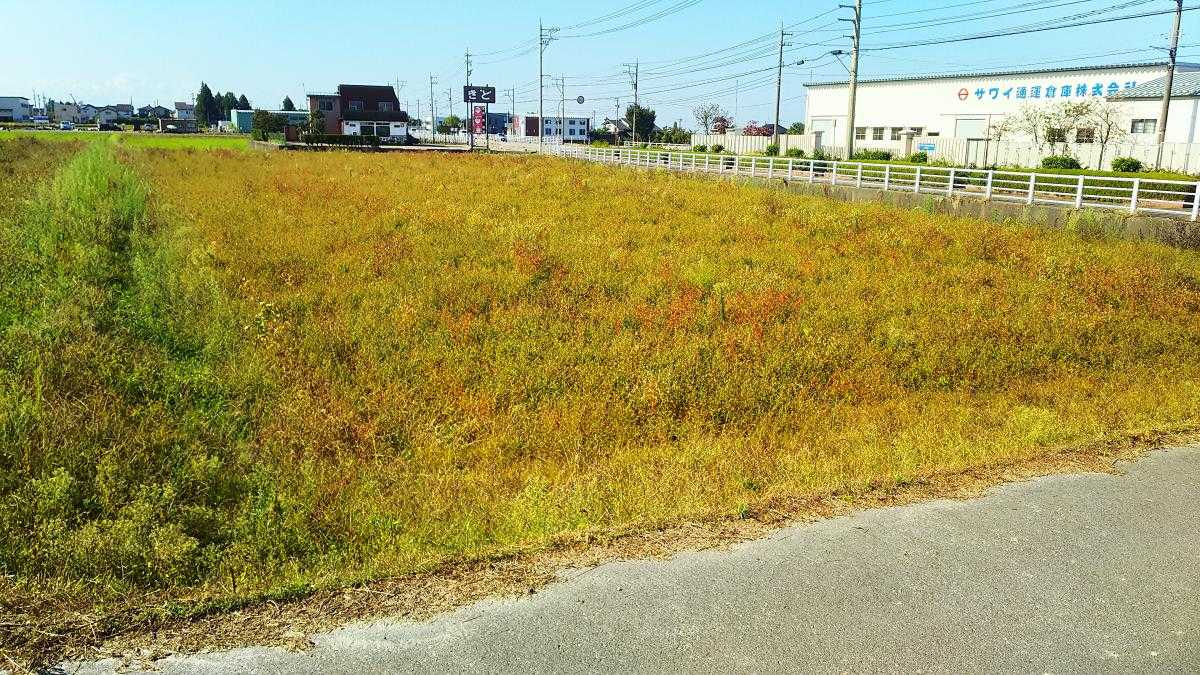 売地No.506追分の外観