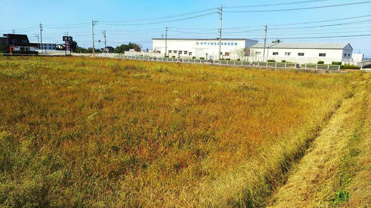 売地No.506追分の外観