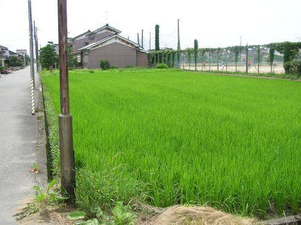 売地№041加島町のその他