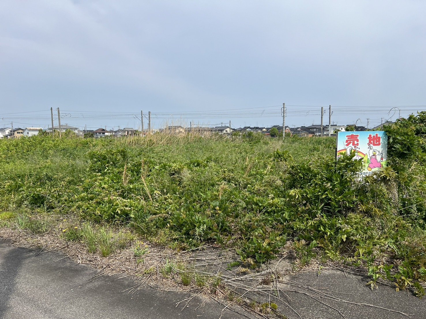 売地No.315新富町のその他