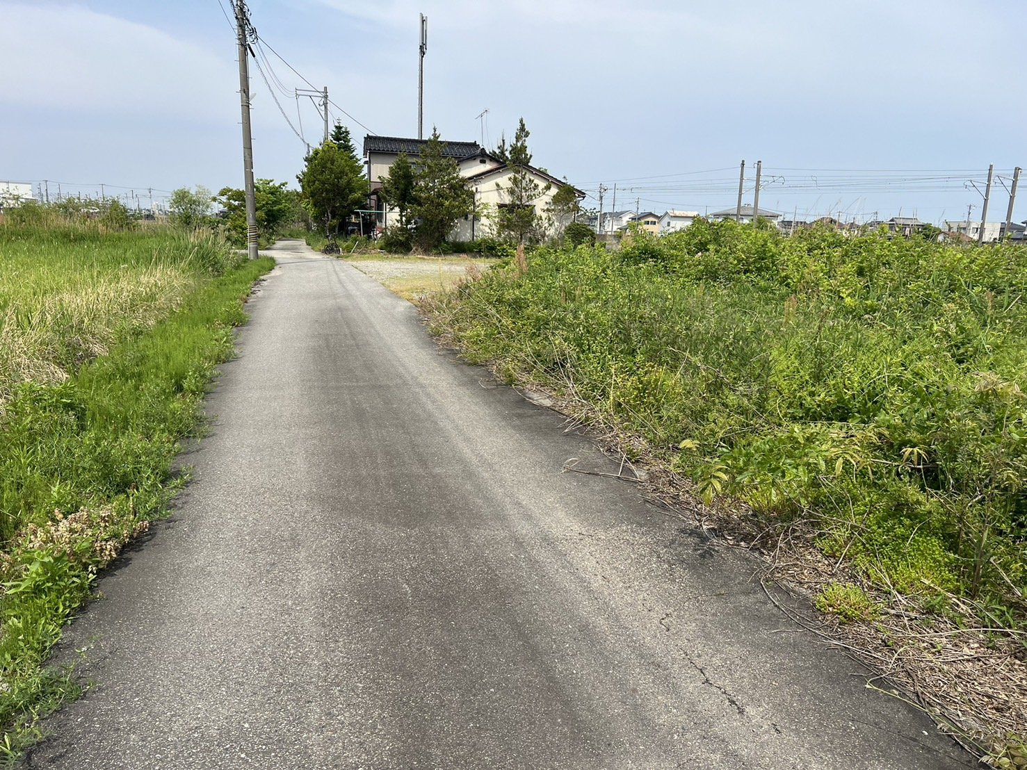 売地No.315新富町のその他