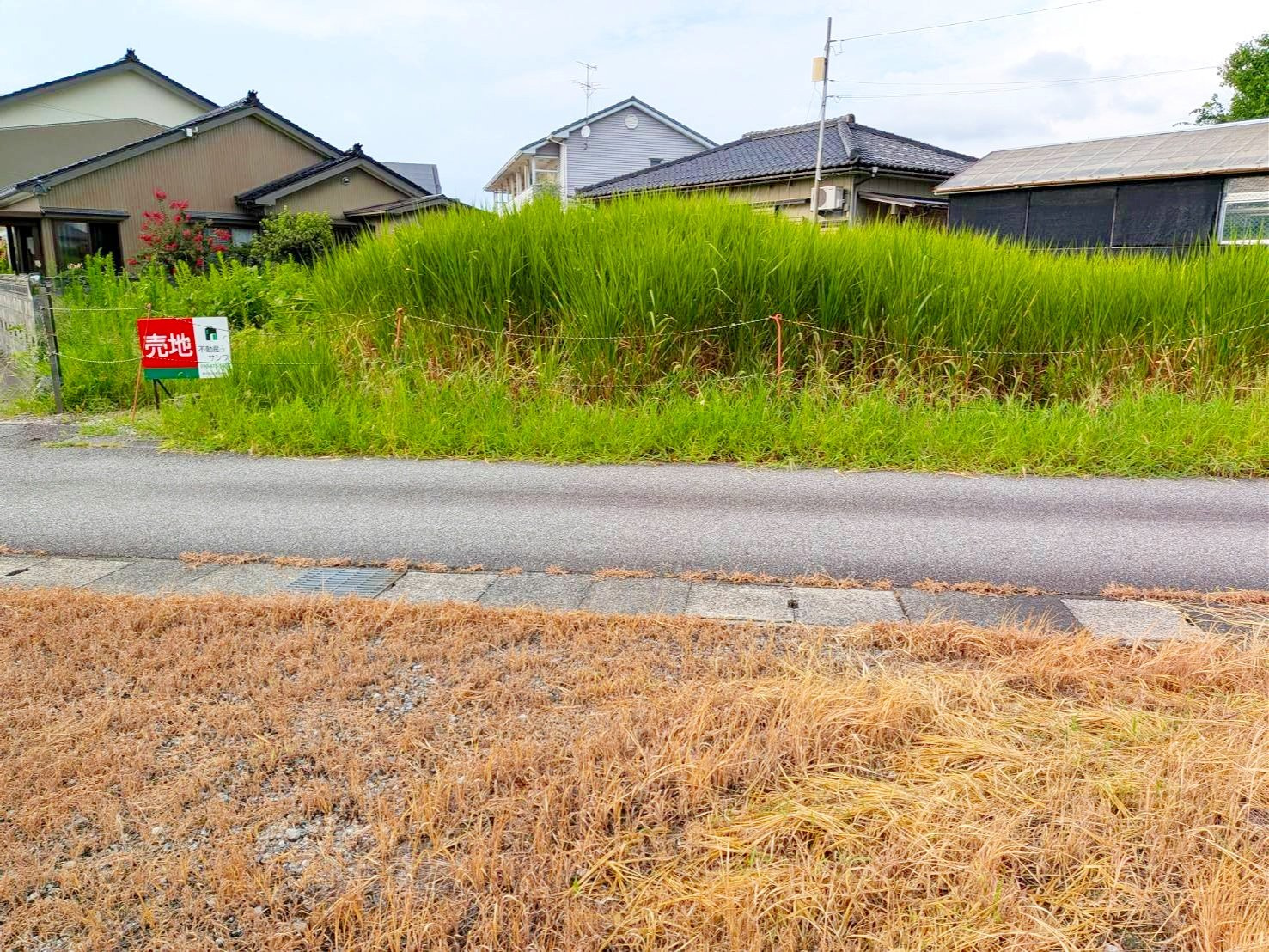 売地No.517 中野島のその他
