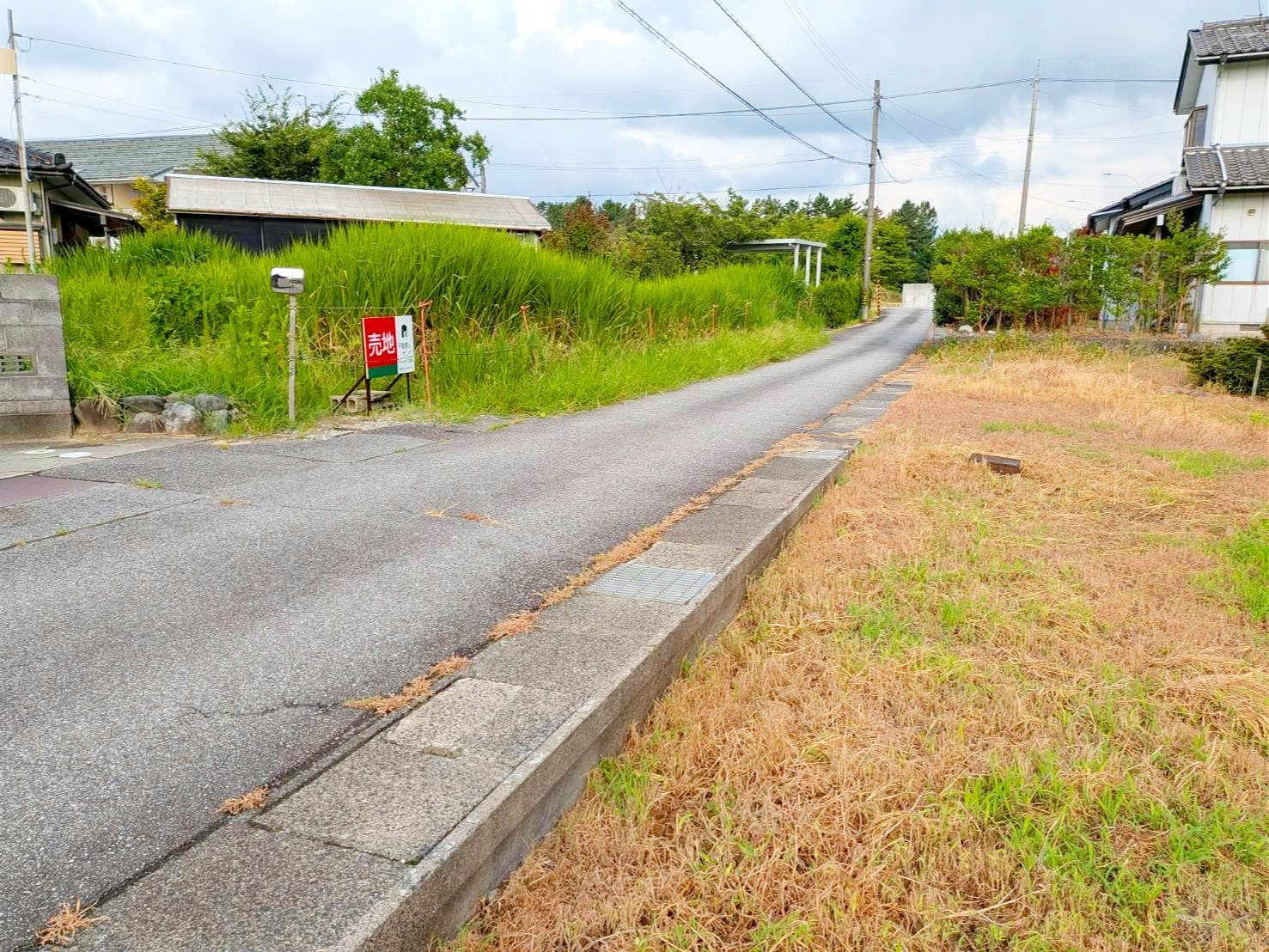 売地No.517 中野島の前面道路含む現地写真