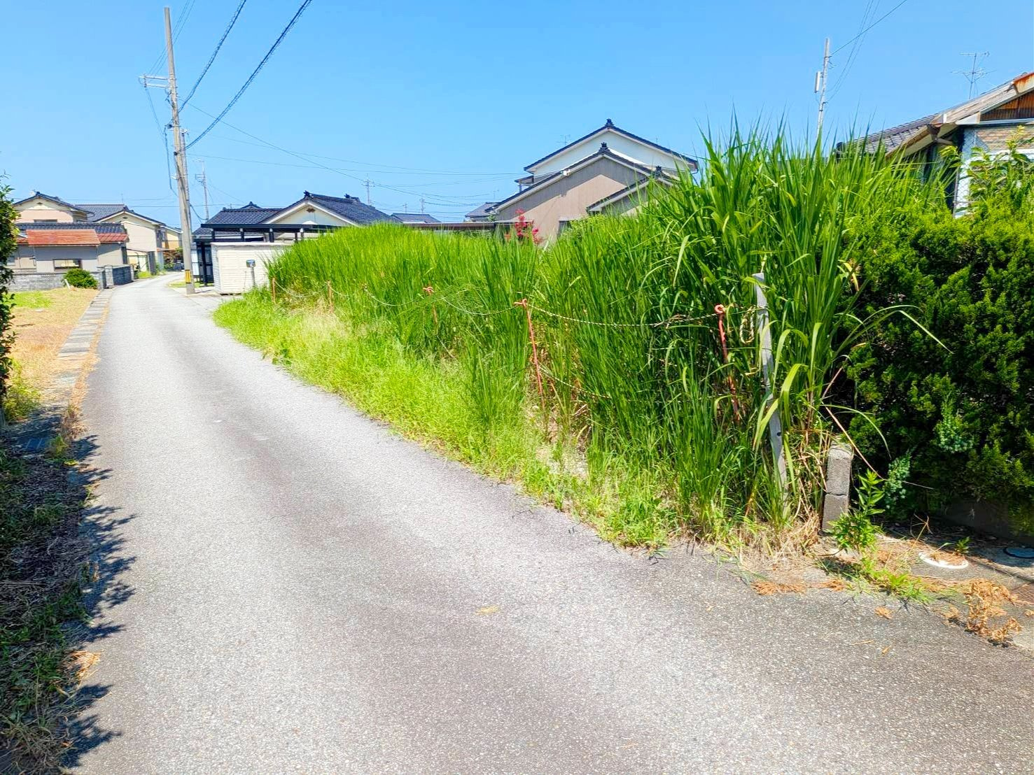 売地No.517 中野島の前面道路含む現地写真