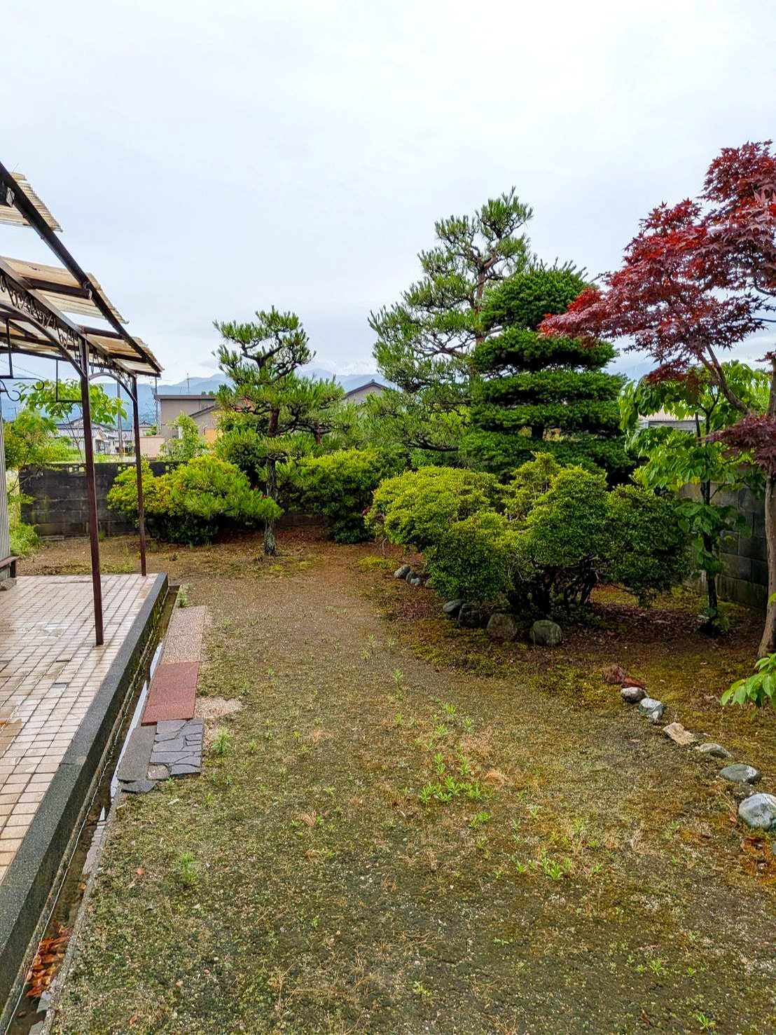 堀江 中古住宅の庭
