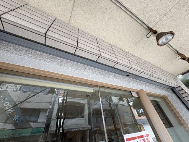 レオハイムスギの設備