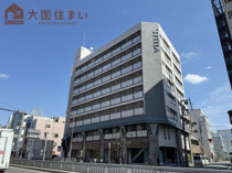 ステラの画像