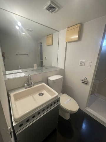 大阪市西区南堀江２丁目の賃貸マンションの洗面所|別部屋参考写真