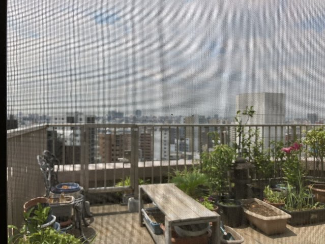 【バルコニー】 | ディオレ西新宿 | お部屋の大きな特徴がこちらの広いテラスです。