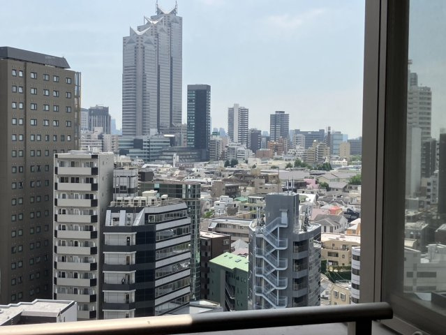 【展望】 | ディオレ西新宿 | 方角の異なる窓があり、新宿のビル群も見られます。