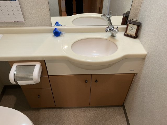 【構造・工法・仕様】 | ディオレ西新宿 | トイレにも鏡と手洗い場があります。