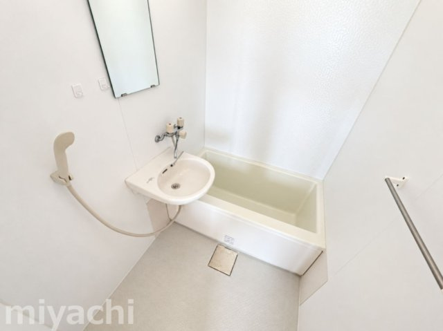 竹内ハイツの洗面所