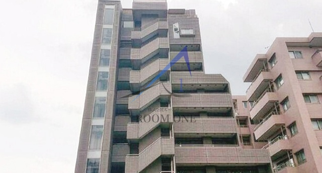 新江古田ＳＴ　ＨＯＵＳＥの外観|外観です。