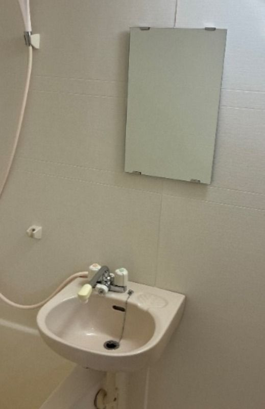 メゾンそれいゆの洗面所