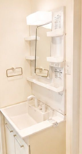 ルクシア北赤羽の洗面所