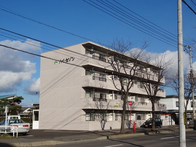 ハイセゾン