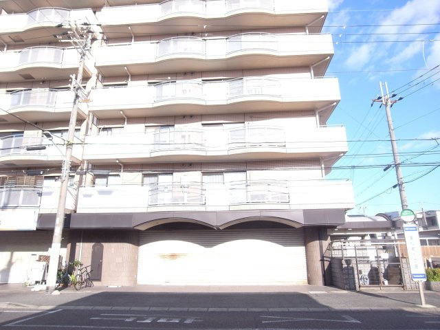 風雅富松