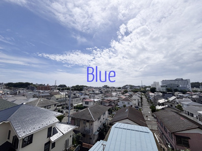 【展望】 | ウェンディ湘南